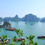 中國人去越南可以落地簽嗎？